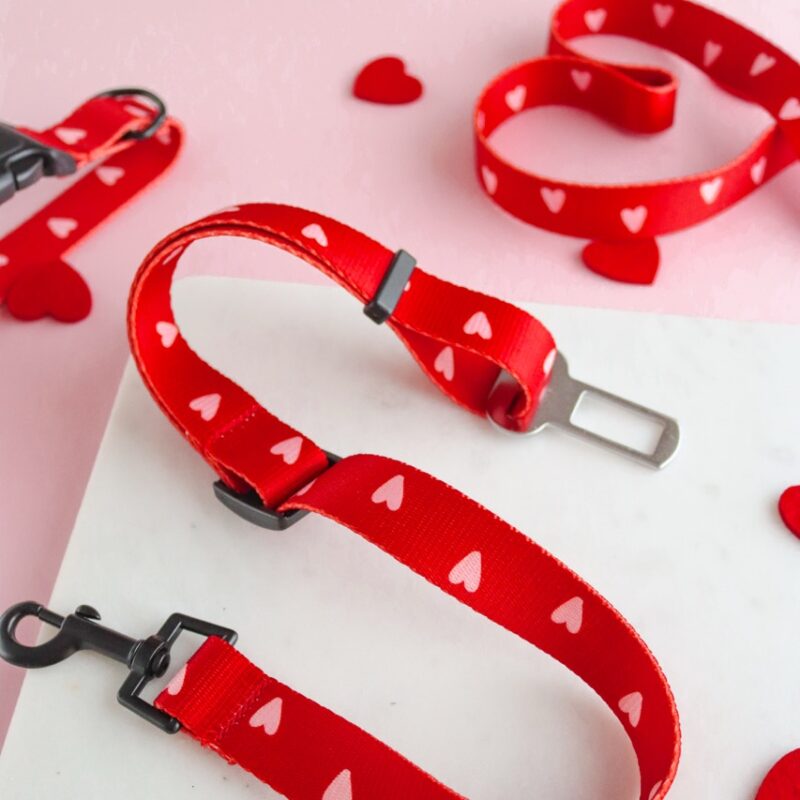 Pas samochodowy Red Love dla psa – stylowy i bezpieczny