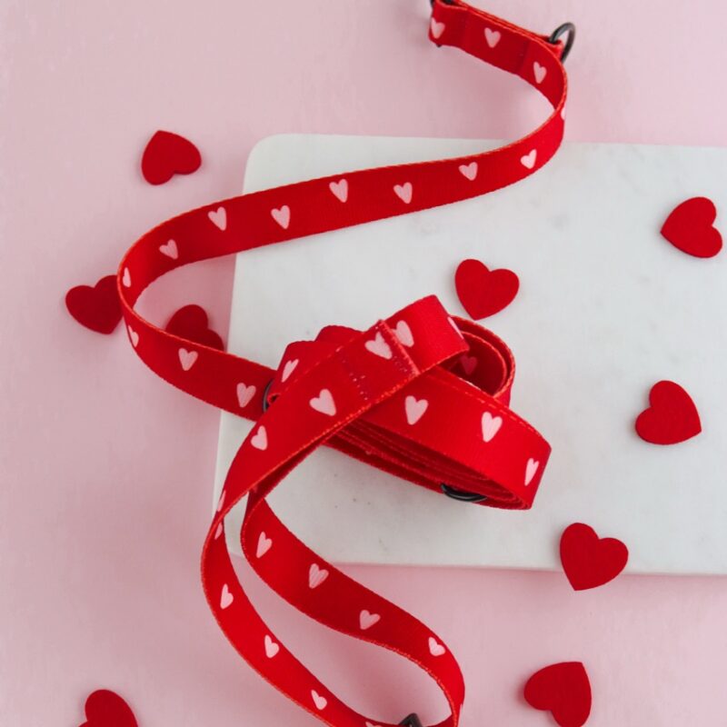 Smycz przepinana Red Love dla psa – stylowa i funkcjonalna