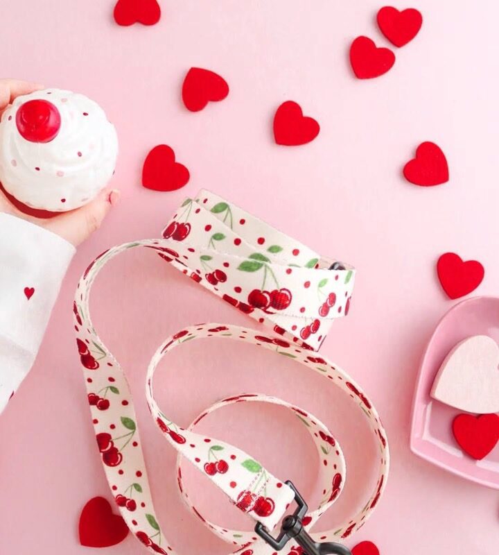 Smycz Cherry Bloom – elegancka smycz dla psa