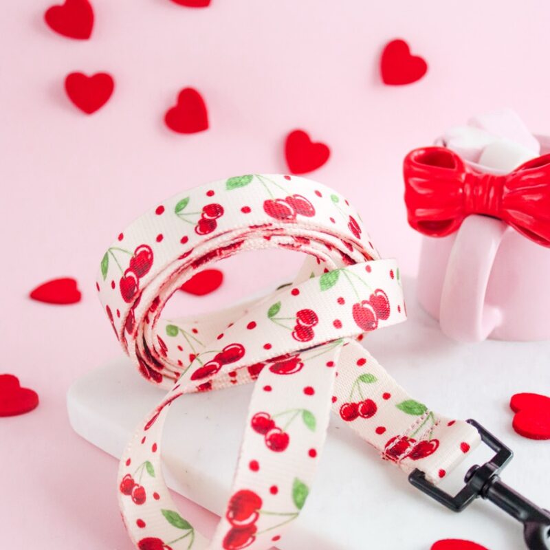 Smycz standardowa Cherry Bloom z wygodnym uchwytem