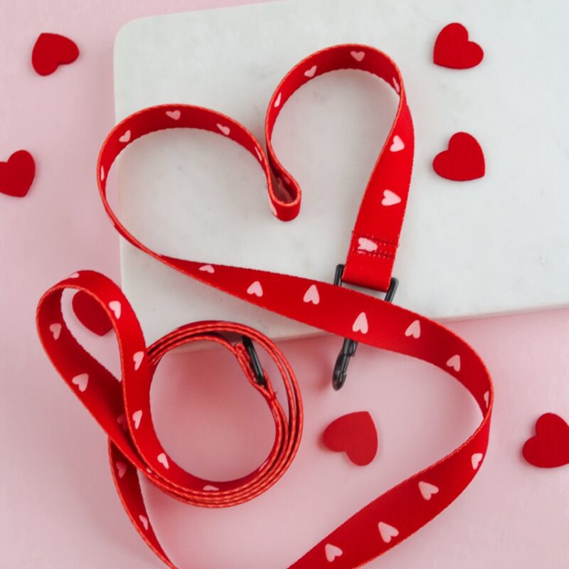Smycz standardowa Red Love dla psa – elegancka i wytrzymała