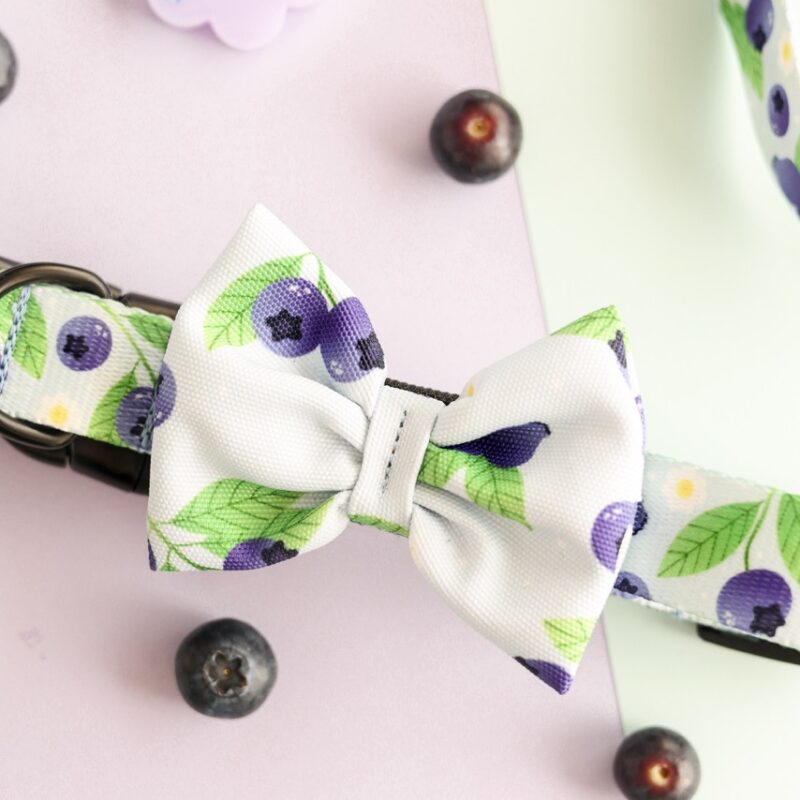 obroza-blueberry-milk-shake-front Detale klamry i regulacji obroży Blueberry Milk Shake