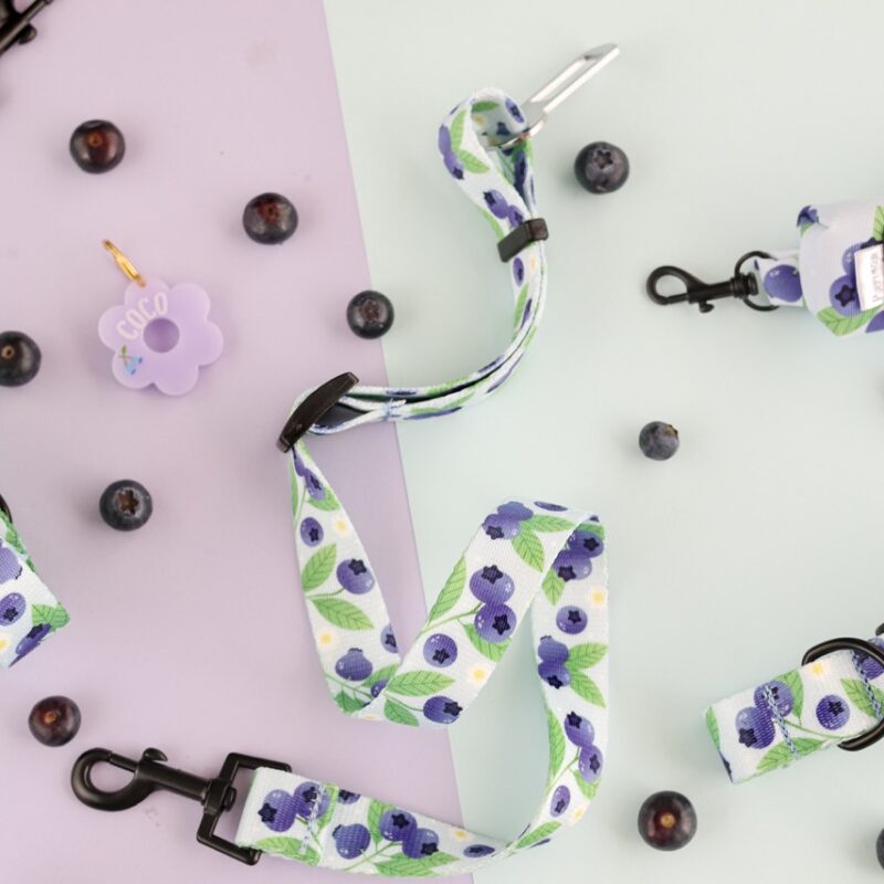 Pas samochodowy dla psa z kolekcji Blueberry Milk Shake – fioletowy z wzorem borówek