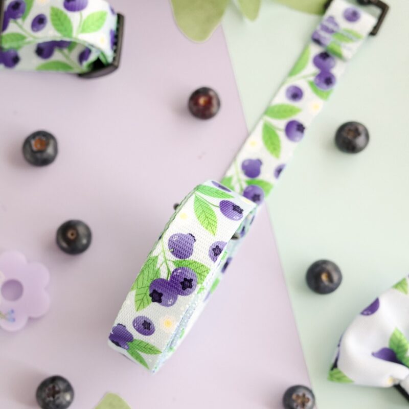 Smycz standardowa dla psa z kolekcji Blueberry Milk Shake – fioletowa z nadrukiem borówek
