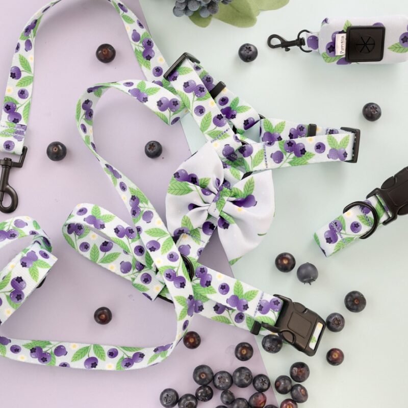 Szelki guard z kolekcji Blueberry Milk Shake – pastelowe z nadrukiem borówek