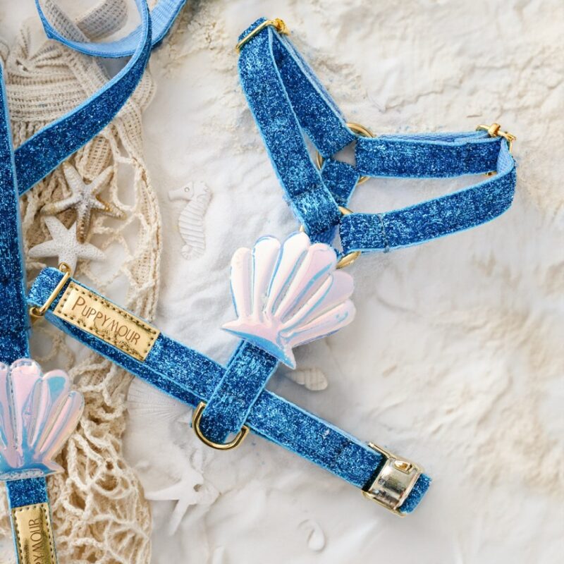 Szelki guard Seashell Blue – widok z góry z muszelką 3D