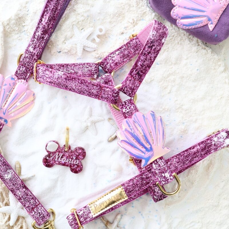 Etui na przysmaki dla psa – tył – Seashell Pink z karabińczykiem