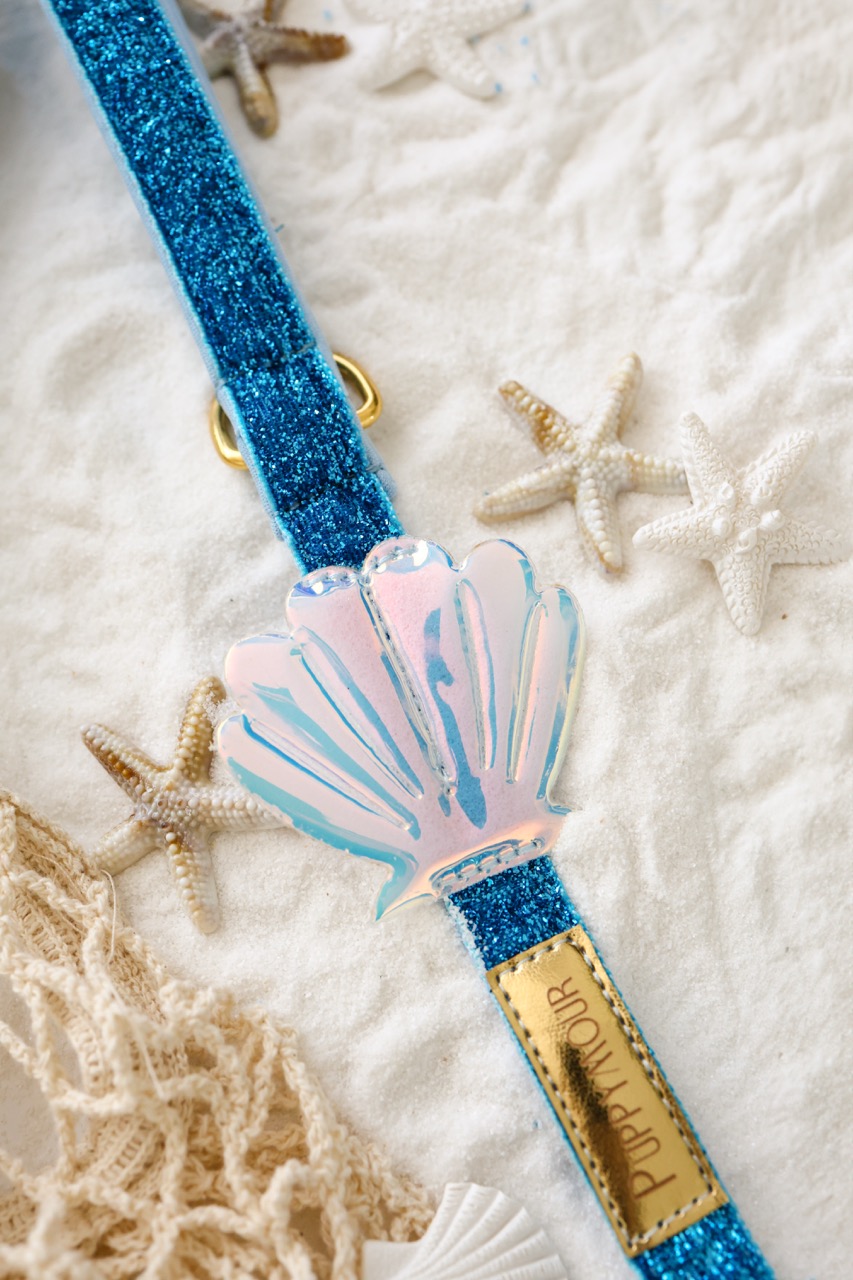 Smycz dla psa z muszelką 3D – Seashell Blue