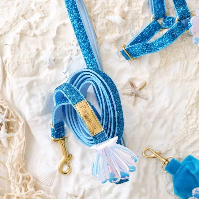 Smycz klasyczna dla psa – przód – kolekcja Seashell Blue