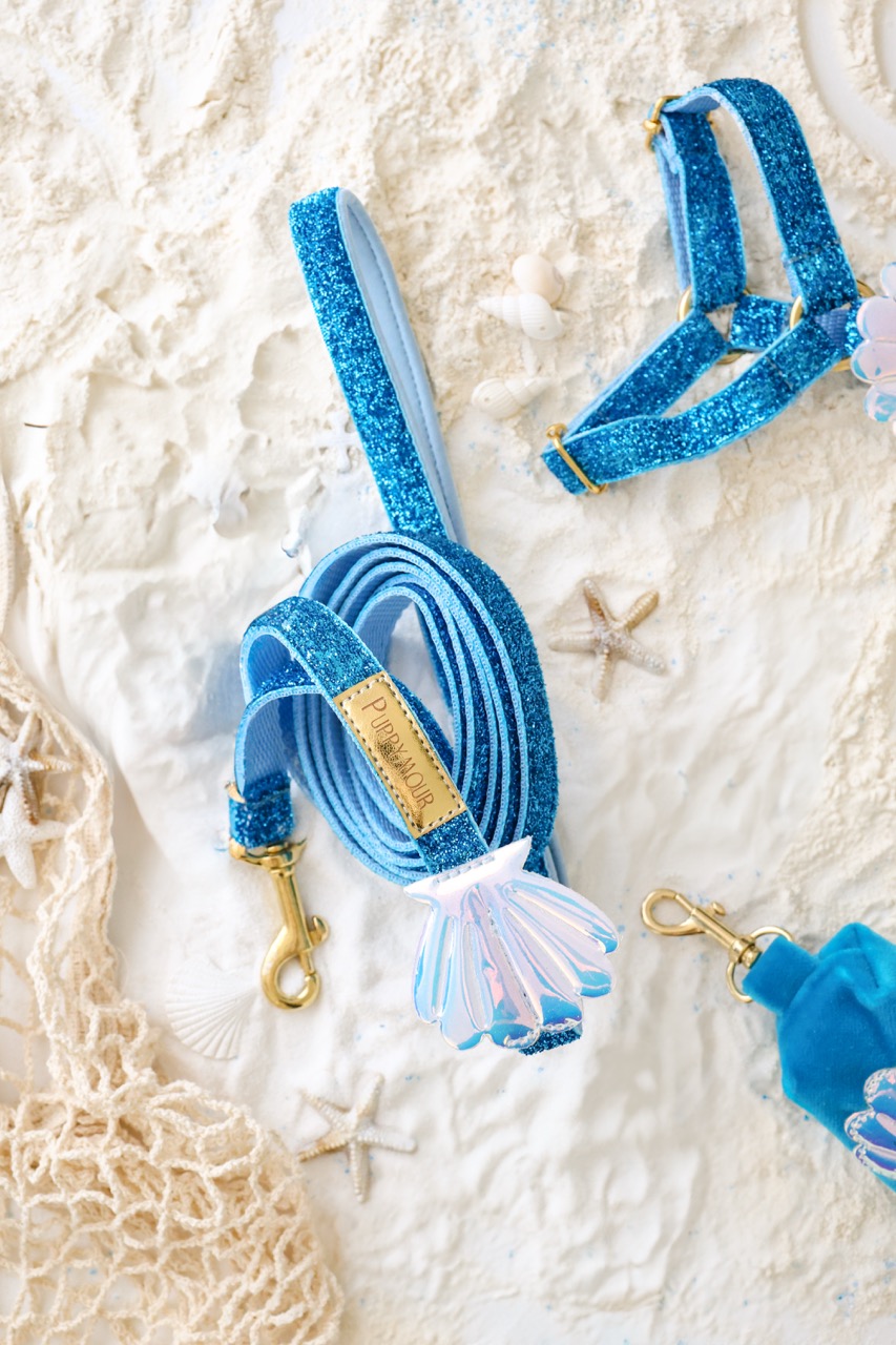 Smycz klasyczna dla psa – przód – kolekcja Seashell Blue