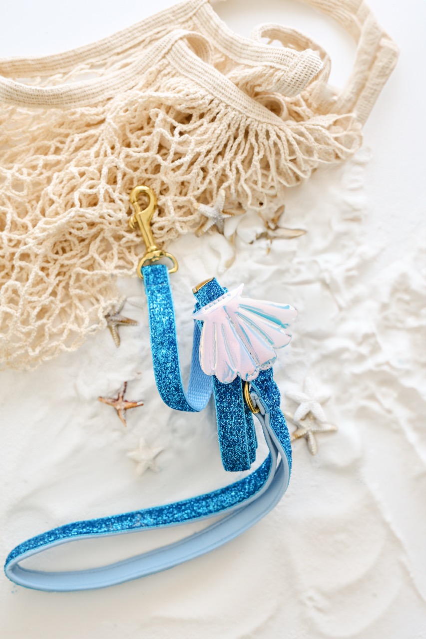 Smycz klasyczna Seashell Blue w letniej scenerii na plaży