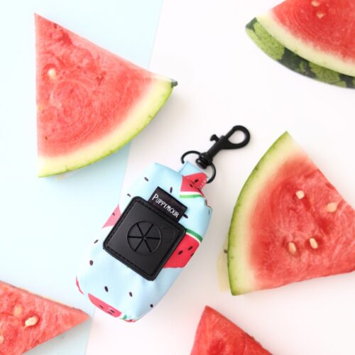 Etui na kupoworki w błękitny wzór arbuzowych plastrów – Watermelon Blue