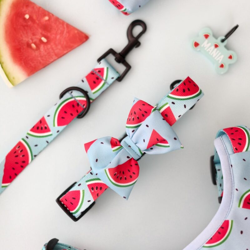 Regulowana obroża dla psa z wzorem arbuzowych plastrów na pastelowym błękicie – Obroża Watermelon Blue