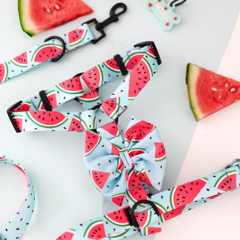 Szelki Guard Watermelon Blue – bezpieczne szelki z motywem arbuzowych plastrów na pastelowym błękicie