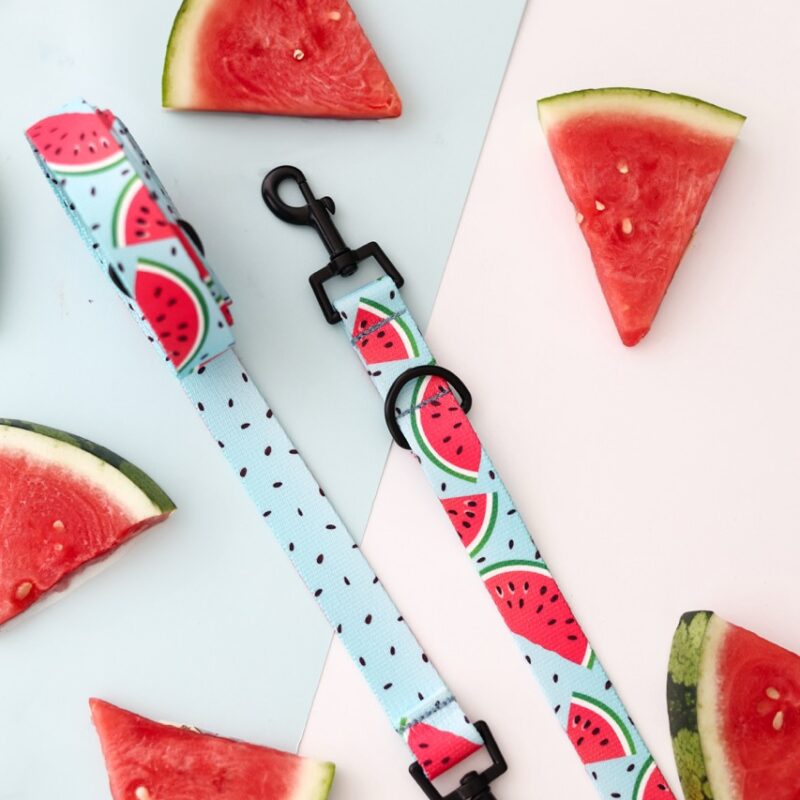 Standardowa smycz dla psa z wzorem arbuzowych plastrów na błękitnym tle – Watermelon Blue