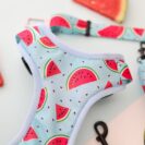 Szelki bezuciskowe Watermelon Blue – komfortowy, lekki design z motywem arbuzowym