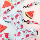Szelki bezuciskowe dla psa z motywem arbuzowych plastrów na pastelowym błękicie – Watermelon Blue