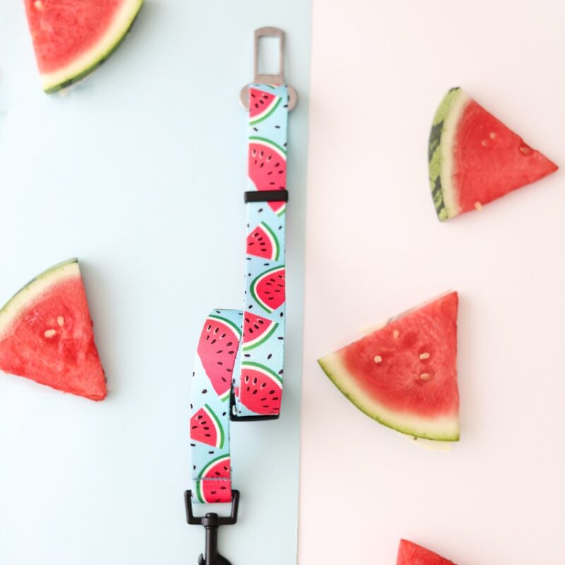 Miniaturowy pas samochodowy dla psa z motywem arbuzowym – Watermelon Blue