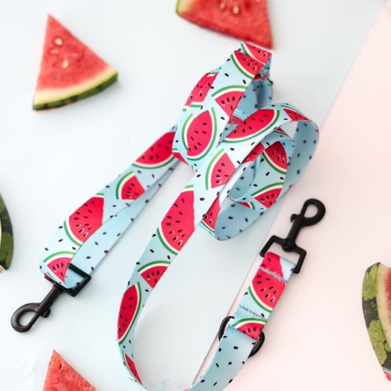 Smycz przepinana Watermelon Blue z motywem arbuzowych plastrów na pastelowym błękicie