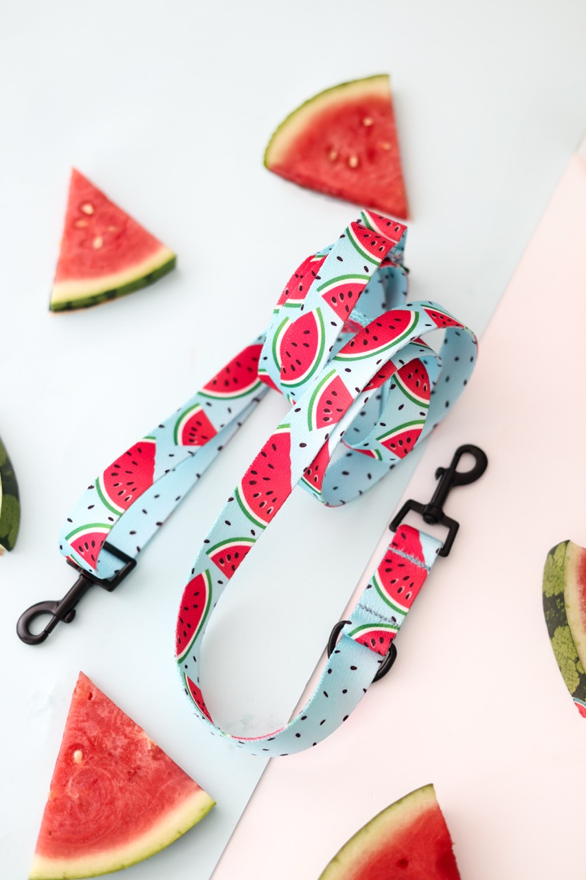 Smycz przepinana Watermelon Blue z motywem arbuzowych plastrów na pastelowym błękicie