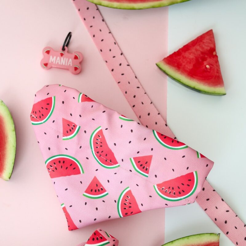 Apaszka Watermelon Pink z wzorem soczystych plastrów arbuza na pastelowym różu