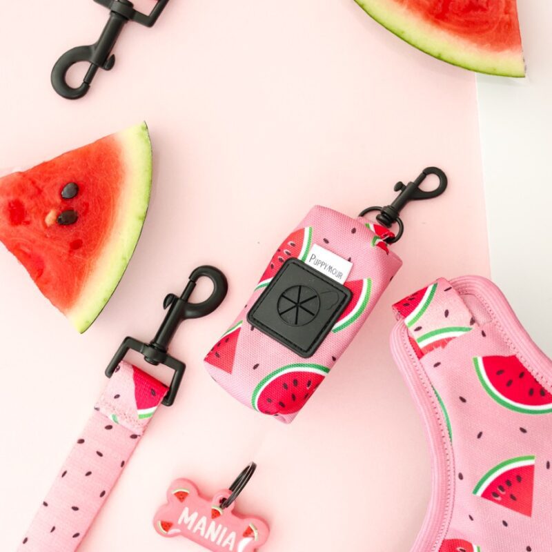 Etui na kupoworki w różowy wzór arbuzowych plastrów – Watermelon Pink