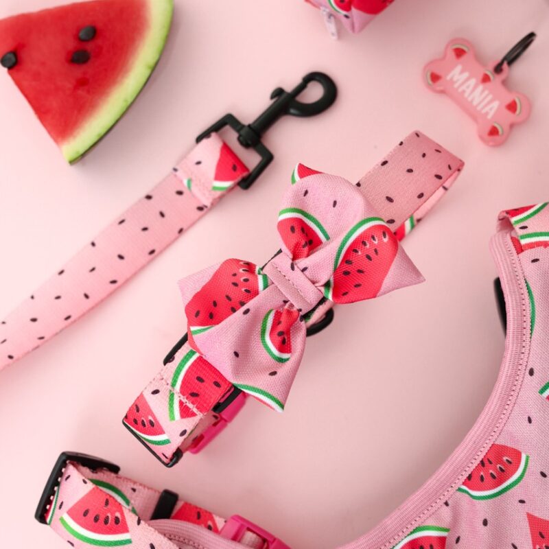 Regulowana obroża dla psa z wzorem arbuzowych plastrów na pastelowym różu – Obroża Watermelon Pink