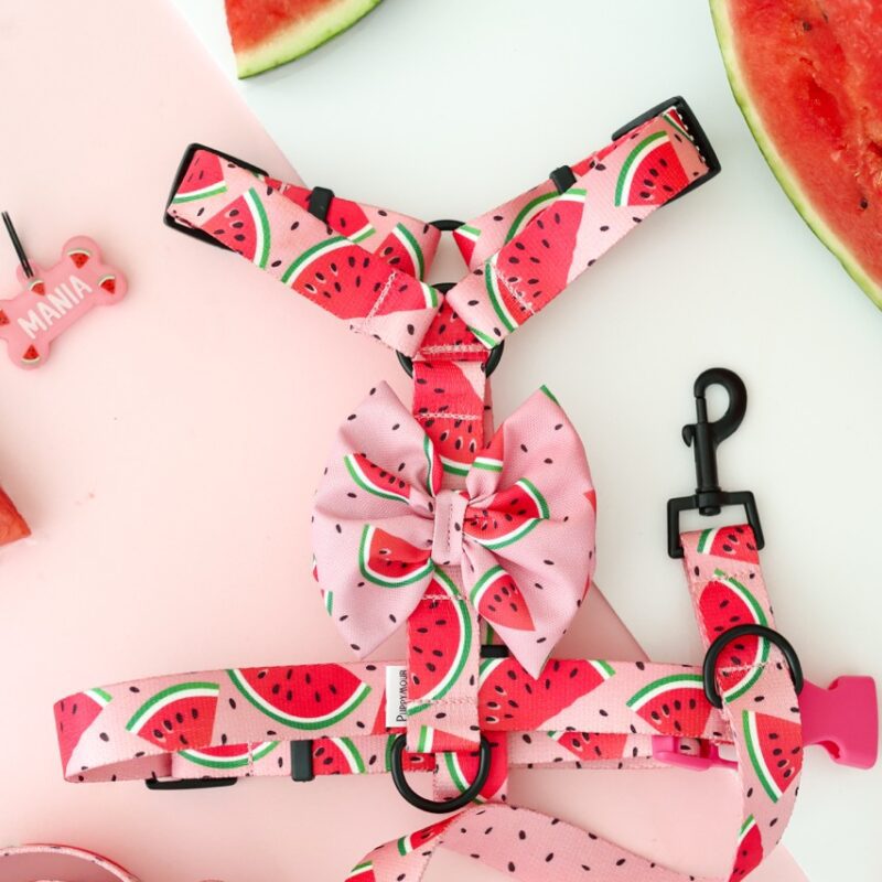 Miniaturowe szelki Guard Watermelon Pink z soczystym wzorem arbuzowym