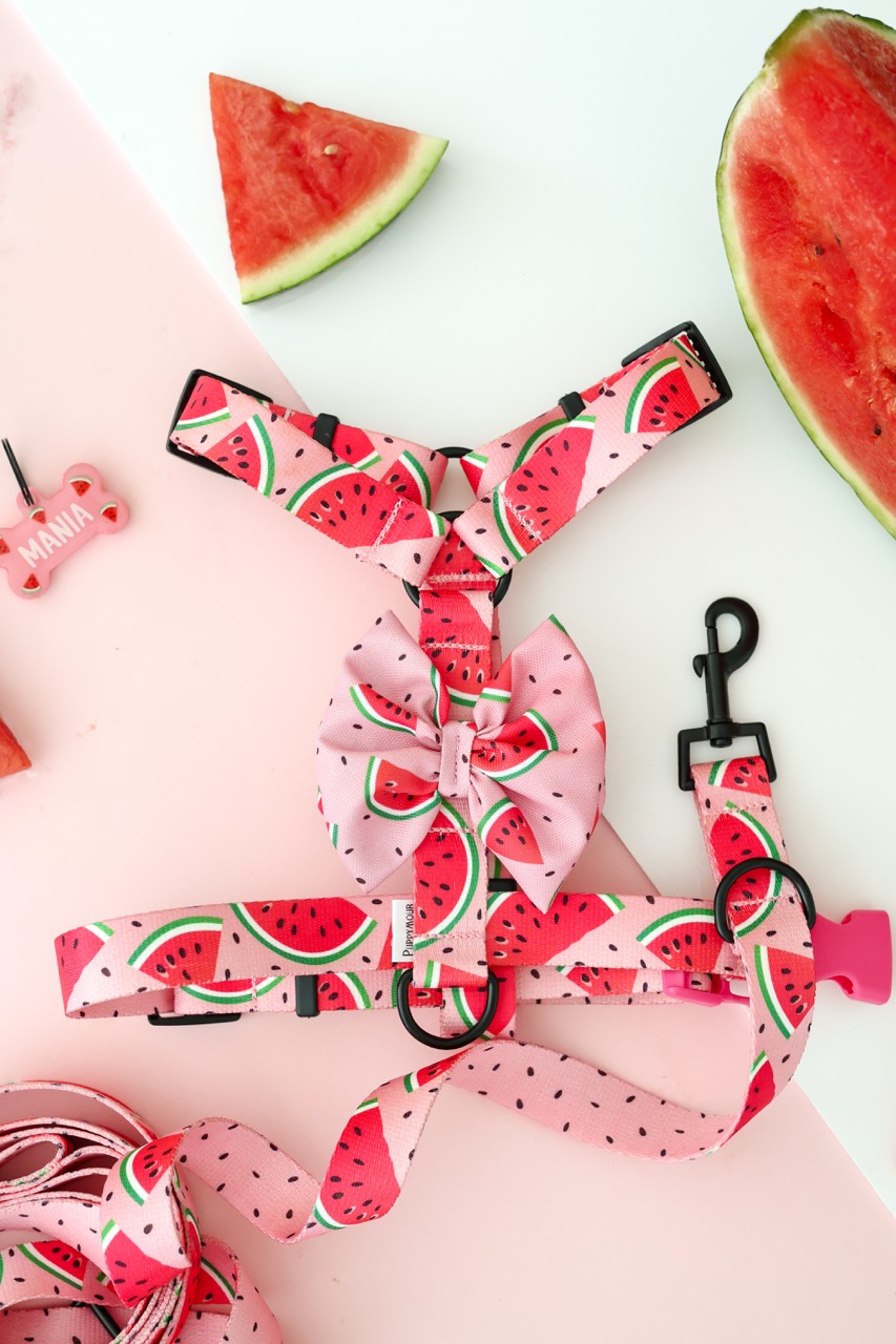 Miniaturowe szelki Guard Watermelon Pink z soczystym wzorem arbuzowym