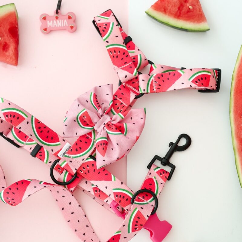 Szelki Guard Watermelon Pink – bezpieczne szelki z motywem arbuzowych plastrów na pastelowym różu