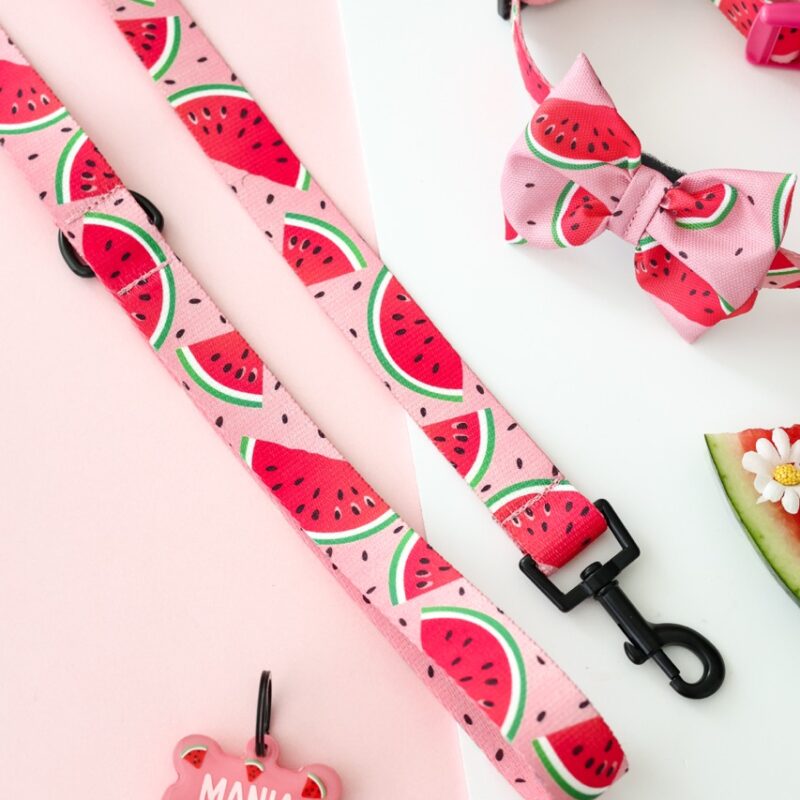 Standardowa smycz Watermelon Pink z motywem soczystych plastrów arbuza