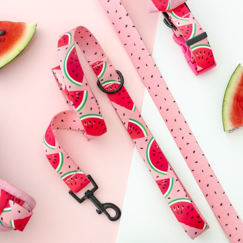 Standardowa smycz dla psa z wzorem arbuzowych plastrów na różowym tle – Watermelon Pink