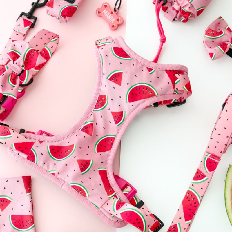 Szelki bezuciskowe dla psa z motywem arbuzowych plastrów na pastelowym różu – Watermelon Pink