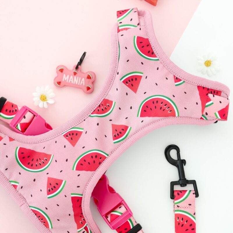Szelki bezuciskowe Watermelon Pink – komfortowy, lekki design z motywem arbuzowym