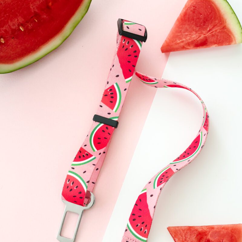 Pas samochodowy dla psa z wzorem arbuzowych plastrów na różowym tle – Watermelon Pink