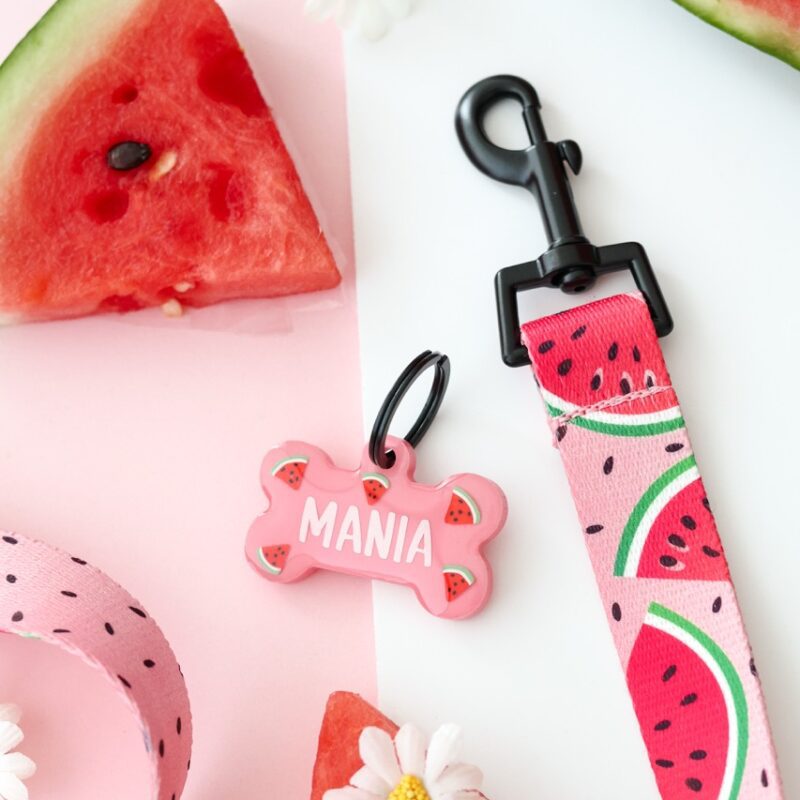 Adresówka "Watermelon"