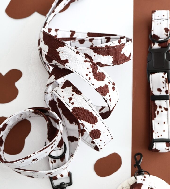 Smycz Przepinana "Puppy Cow"