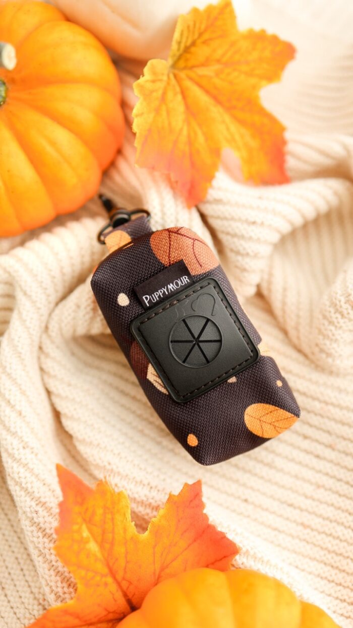 etui na kupoworki Brown Autumn w jesienny wzór – Puppymour