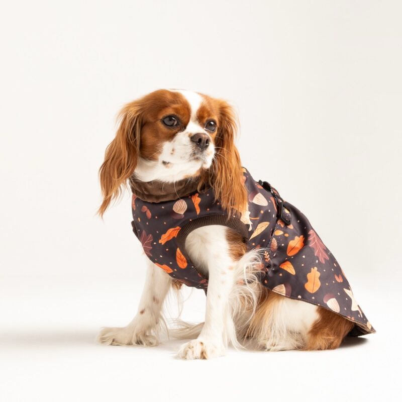kurtka Brown Autumn wodoodporna dla psa – Puppymour