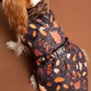 jesienna kurtka dla psa Brown Autumn z polarem minky