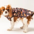 szyta na miarę kurtka dla psa w autorski print Puppymour Brown Autumn