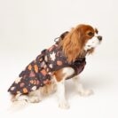 wodoodporna kurtka Brown Autumn z otworem na szelki