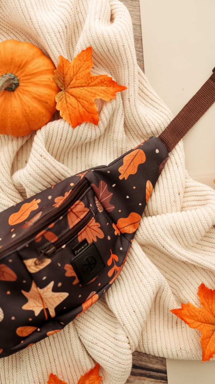 nerka biodrowa dla opiekuna psa Brown Autumn – liście i szyszki