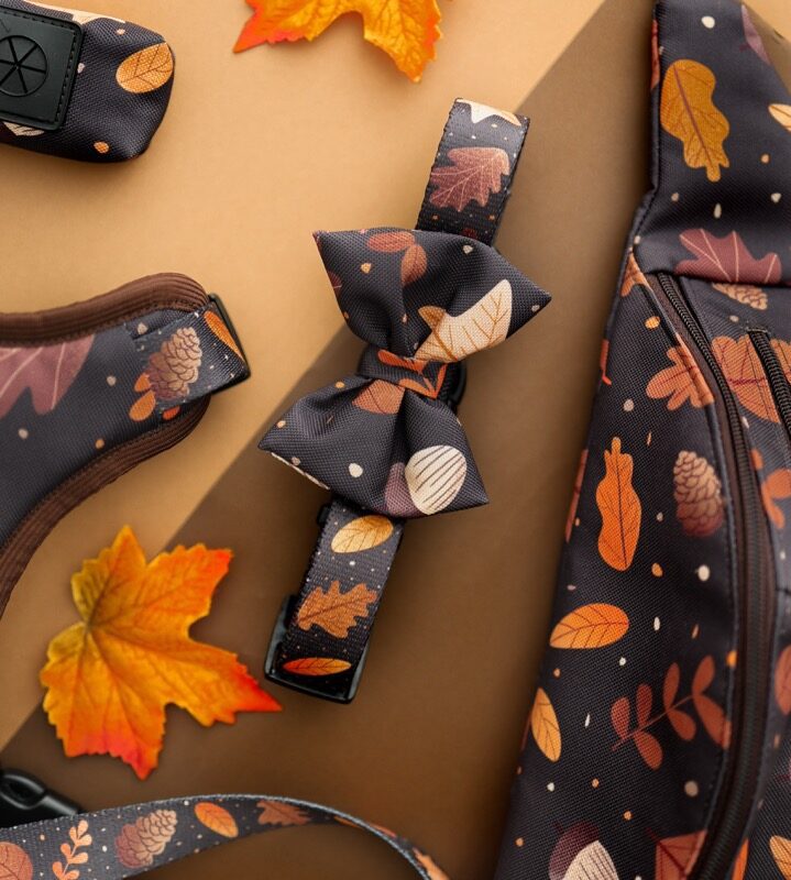 puppymour-obroza-brown-autumn-jesienny-wzor-1 regulowana obroża dla psa Brown Autumn – liście i szyszki