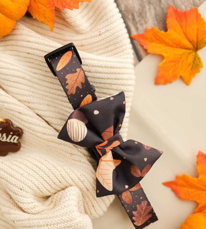 obroża Brown Autumn w jesienny wzór – Puppymour