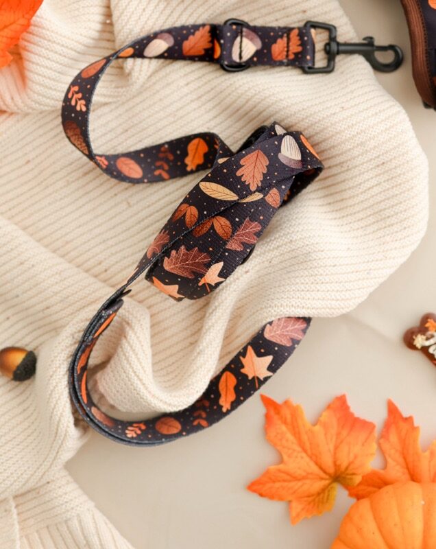 smycz klasyczna Brown Autumn w jesienny wzór – Puppymour