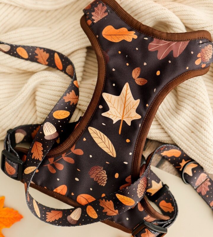 szelki bezuciskowe Brown Autumn w jesienny wzór – Puppymour