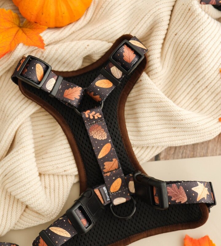 stylowe szelki bezuciskowe Brown Autumn z regulacją