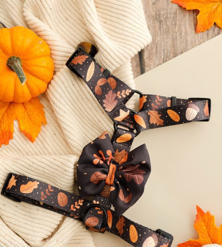 szelki guard Brown Autumn w jesienny wzór – Puppymour