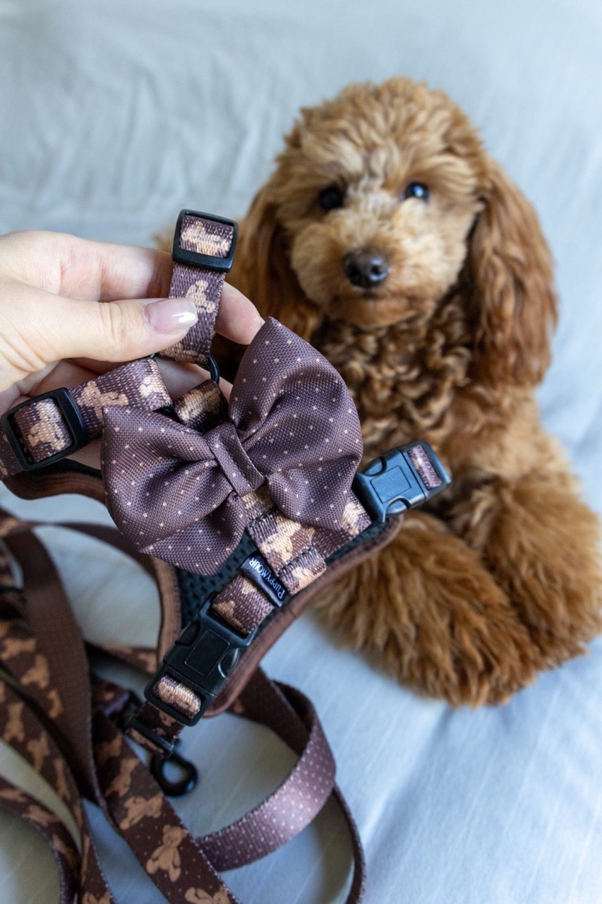 Szelki Bezuciskowe "Brown Teddy Bear" - obrazek 9